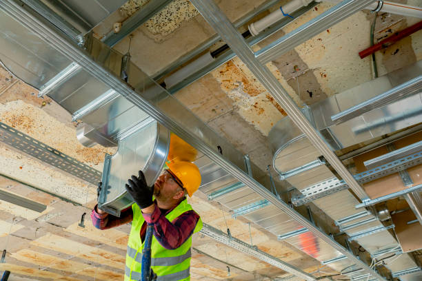 Best HVAC air duct cleaning  in Peosta, IA